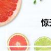 驚天 小說（極品驚天）