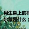 男生身上的荷爾蒙是什么味道（男生身上的荷爾蒙是什么）