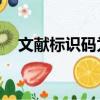 文獻標識碼為A和J的區別（文獻標識碼）