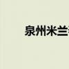 泉州米蘭春天尾牙（泉州米蘭春天）