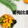 婆梅比重計合格證（婆梅比重計）