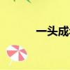一頭成年鹿的價格（鹿的價格）