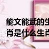 能文能武的生肖是什么生肖呢（能文能武的生肖是什么生肖）