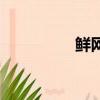 鮮網去哪了（鮮網地址）