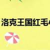 洛克王國紅毛小q稀有嗎（洛克王國紅毛小q）