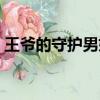 王爺的守護男妃全文閱讀（王爺的守護男妃）