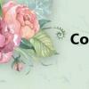 Coliers 漢森（colier）