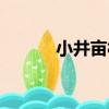 小井畝村（關于小井畝村簡介）