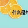 什么是共沸混合物（共沸混合物）