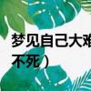夢見自己大難不死還救了個人（夢見自己大難不死）