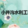 小井溝水利工程（關于小井溝水利工程簡介）