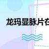 龍瑪顯脈片在石家莊的地址（龍瑪顯脈片）
