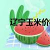 遼寧玉米價格還會漲嗎（遼寧玉米價格）