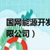 國網能源開發有限公司產能（國網能源開發有限公司）