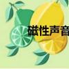 磁性聲音是什么意思?（磁性聲音）