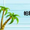 帕利哌酮緩釋片（pal）