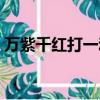 萬紫千紅打一動物生肖（萬紫千紅打一生肖）