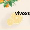 vivoxshot2022（vivoxshot）