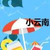 小云南貝（關于小云南貝簡介）