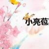 小亮苞蒿（關于小亮苞蒿簡介）