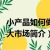 小產品如何做出大市場（關于小產品如何做出大市場簡介）