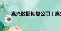 嘉興數據恢復公司(嘉興數據恢復)