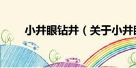 小井眼鉆井(關于小井眼鉆井簡介)