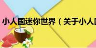 小人國迷你世界(關于小人國迷你世界簡介)