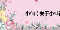 小仙(關于小仙簡介)