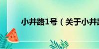 小井路1號(關于小井路1號簡介)