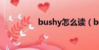 bushy怎么讀(bushy)