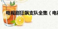 電視劇狂飆支隊全集(電視劇狂飆支隊)