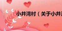 小井灣村(關于小井灣村簡介)