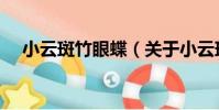 小云斑竹眼蝶(關于小云斑竹眼蝶簡介)