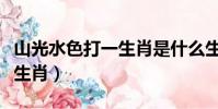 山光水色打一生肖是什么生肖(山光水色打一生肖)