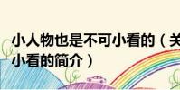 小人物也是不可小看的(關于小人物也是不可小看的簡介)