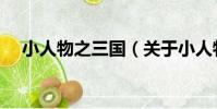 小人物之三國(關于小人物之三國簡介)