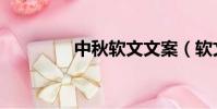 中秋軟文文案(軟文文案)