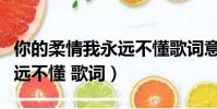 你的柔情我永遠不懂歌詞意思(你的柔情我永遠不懂 歌詞)