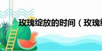 玫瑰綻放的時間(玫瑰綻放的日子)