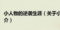 小人物的逆襲生涯(關于小人物的逆襲生涯簡介)