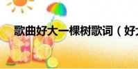歌曲好大一棵樹歌詞(好大一棵樹歌詞)