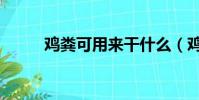 雞糞可用來干什么(雞糞的用途)