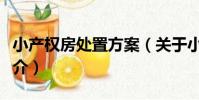 小產權房處置方案(關于小產權房處置方案簡介)