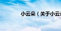 小云朵(關于小云朵簡介)