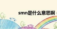 smn是什么意思啊(SMN)