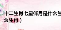 十二生肖七星伴月是什么生肖(七星伴月是什么生肖)