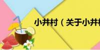 小井村(關于小井村簡介)