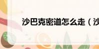 沙巴克密道怎么走(沙巴克密道)