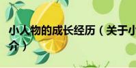 小人物的成長經歷(關于小人物的成長經歷簡介)